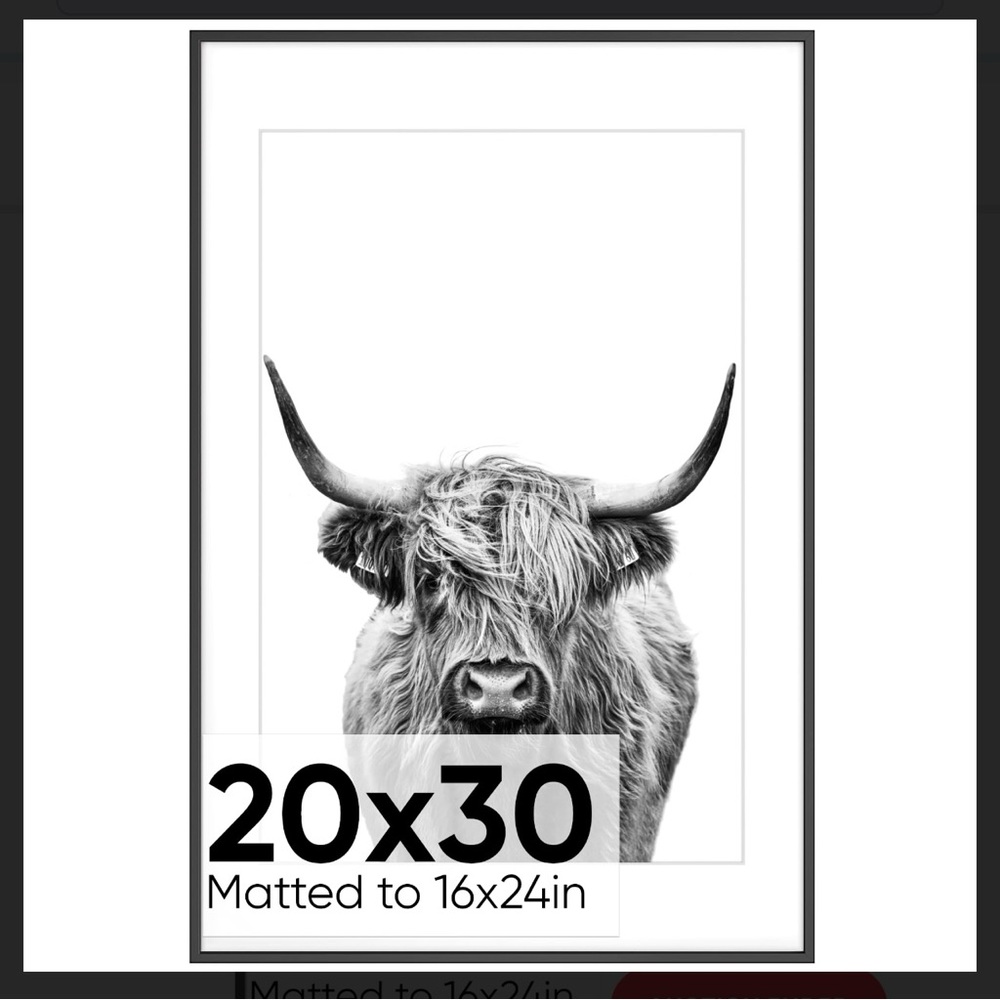 NIB Homeforia Highland Cow Black and White Framed Art Picture 20x30